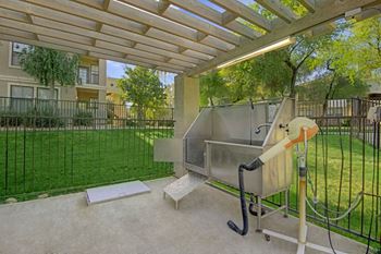 Pet wash on-site